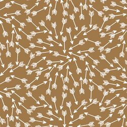 Arrows in Ochre