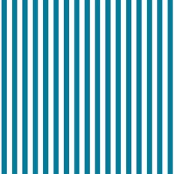 Dress Stripe in Peacock