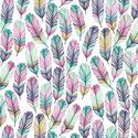 Feathers in Pura Vida