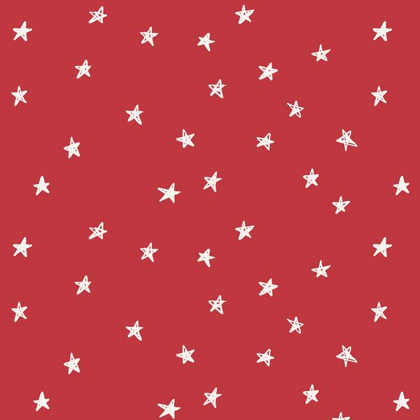 Stars in Poinsettia