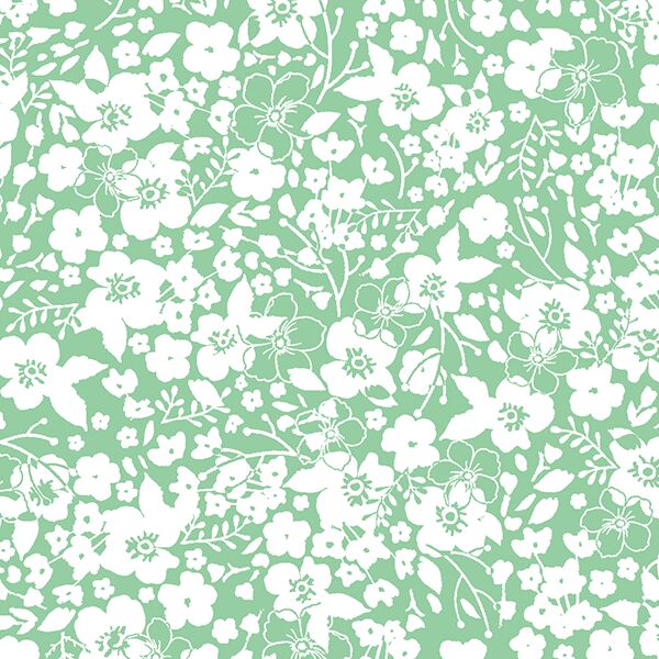Forget Me Not in Sprout