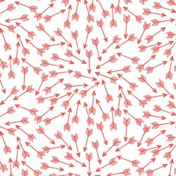 Arrows in Salmon on White