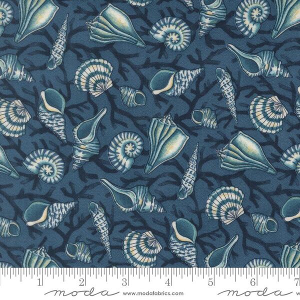 Tossed Seashells in Ocean Blue