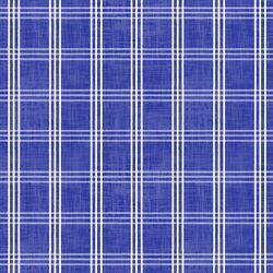 Patriotic Plaid in Blue Jeans