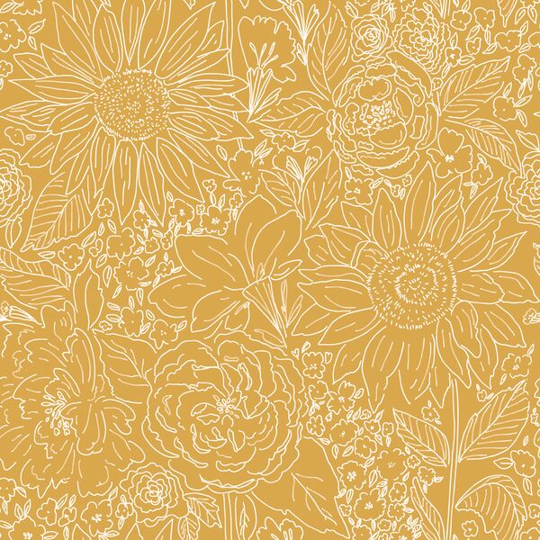Paperie in Amber