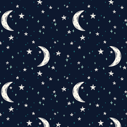 Neon Moon in Night
