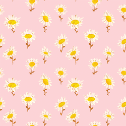 Sunny Daisies in Pink