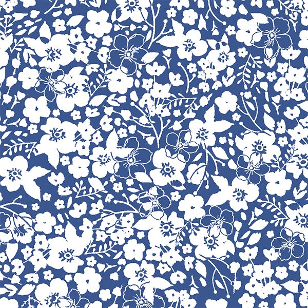 Forget Me Not in Blue Jay