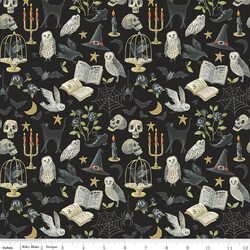 Curiosities in Raven