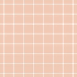 Window Check in Powder Pink