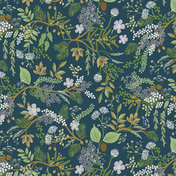 Juniper Forest in Evergreen