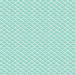 Scallop in Splash