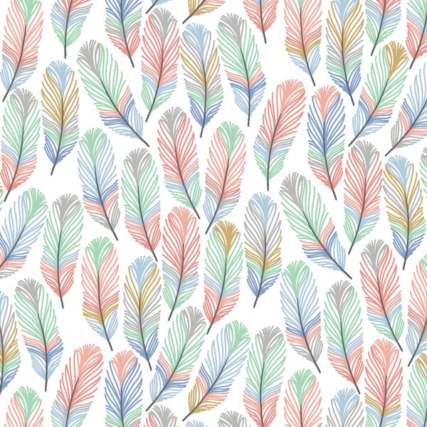 Feathers in Outer Banks