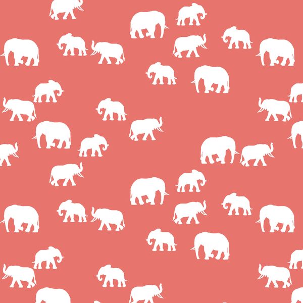 Elephant Silhouette in Living Coral