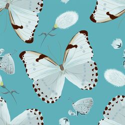 Large Forest Butterflies in Stream