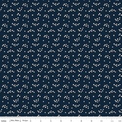 Stars in Navy