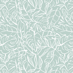 Palm Leaf in Vine