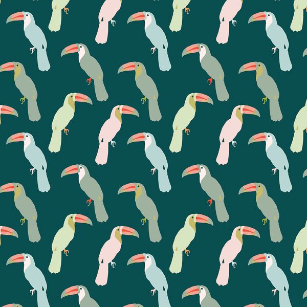 Little Toucans in Jungle