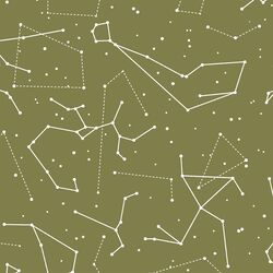 Star Charts in Jungle