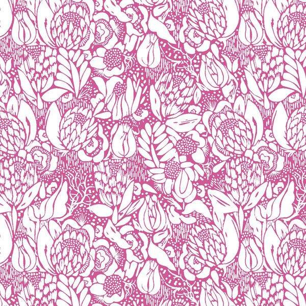 Little Protea in Petunia