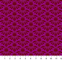 Coneflower in Magenta