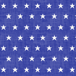Large Star Spangled in Blue Jeans