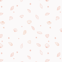 Seashells in Coconut