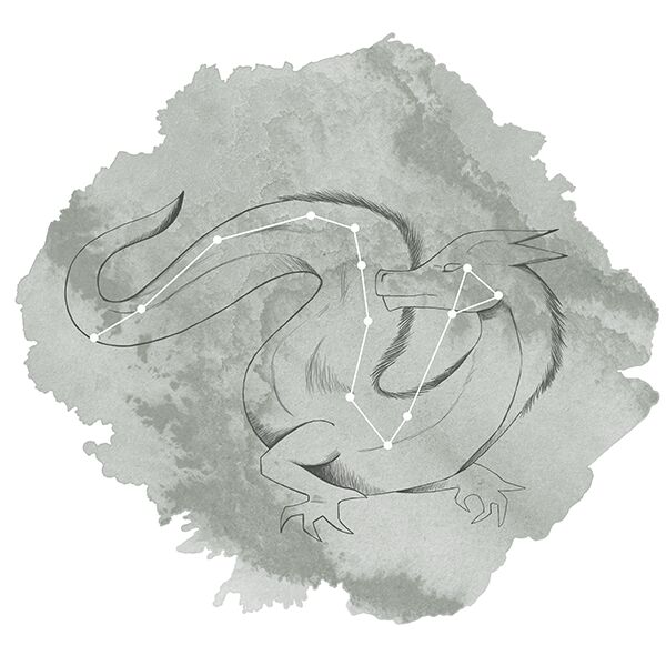 Draco Panel in Sage