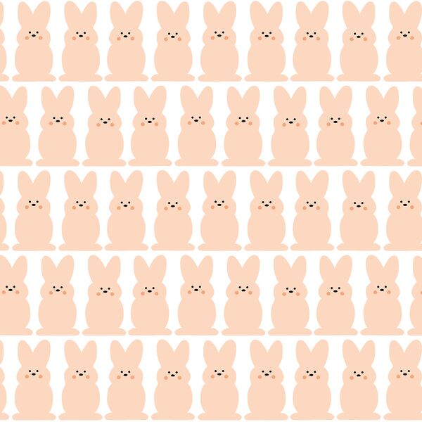Bunnies in Blush