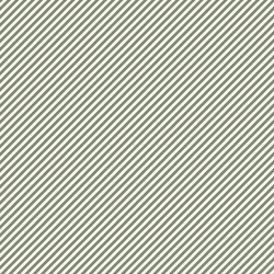Peppermint Candy Stripe in Fir