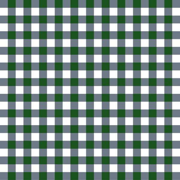 Holiday Gingham in Wintergreen and Inkwell