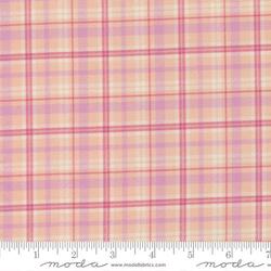 Plaid Checks in Blush