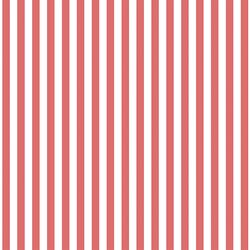 Dress Stripe in Poppy