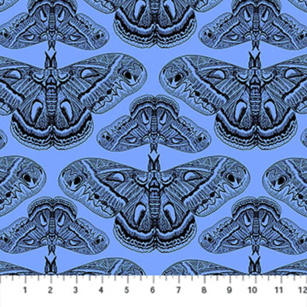 Cecropia in Cerulean