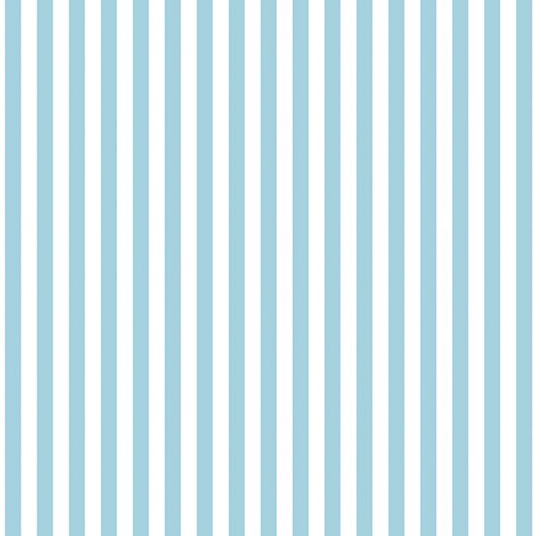 Dress Stripe in Robins Egg