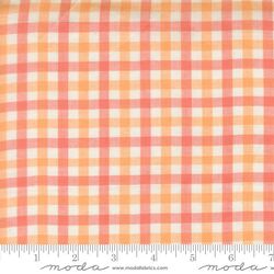 Small Checks and Plaids in Sherbet
