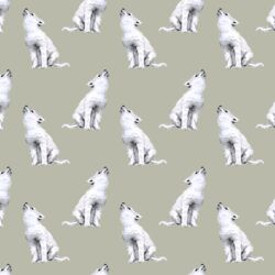 Little Arctic Wolf in Permafrost