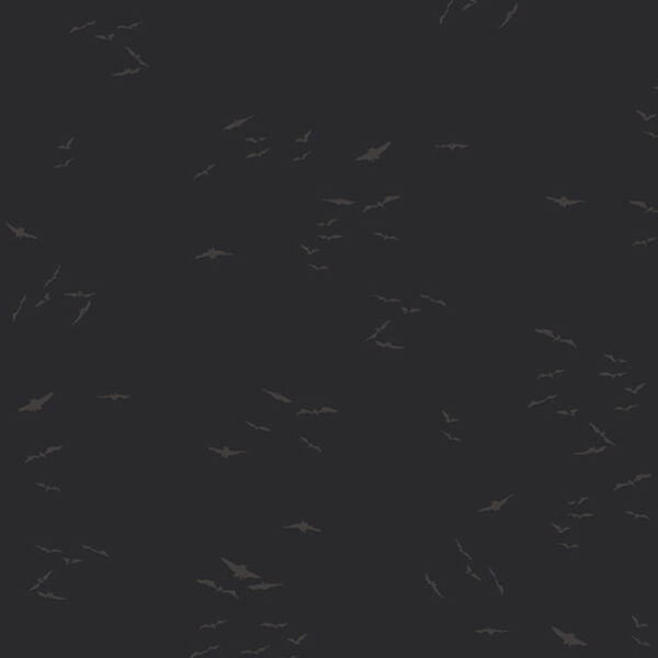 Silent Flight in Night Sky