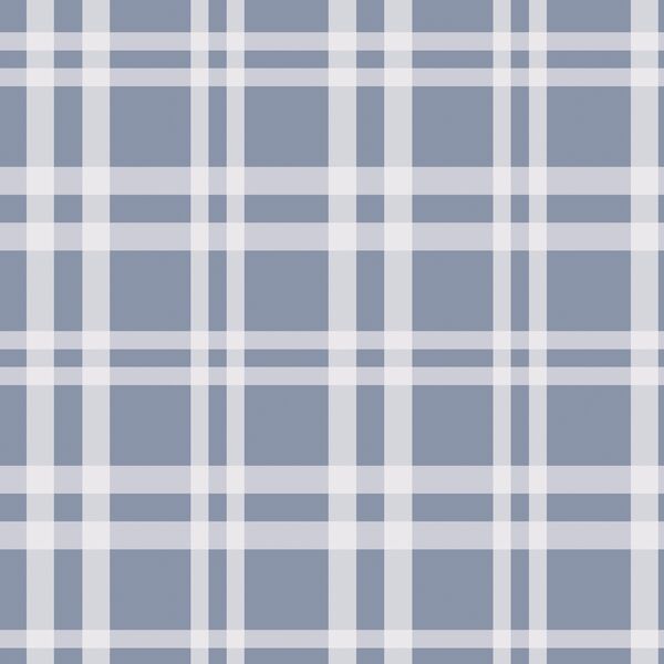 Picnic Plaid in Reflection