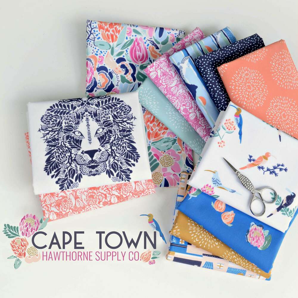 Cape Town Fabric by Hawthorne Supply Co