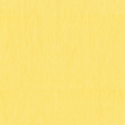 Artisan Cotton Yarn-Dye in Light Gold Light Pale Yellow