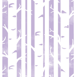 Big Birches in Lilac