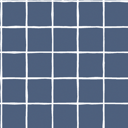 Windowpane in Midnight