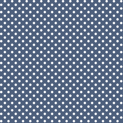 Tiny Dot in Midnight
