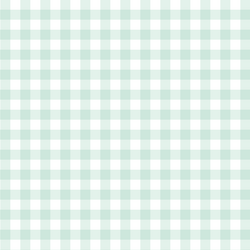 Gingham in Light Green