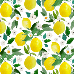 Large Lemons in White
