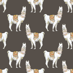 Llamas in Brown
