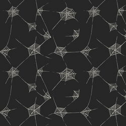 Spiderwebs in Charcoal