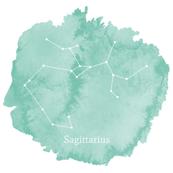 Sagittarius Sign Panel in Succulent