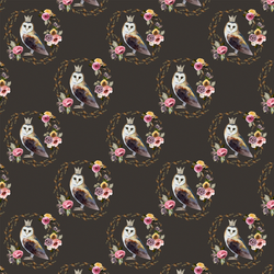 Little Cambridge Owl in Brown